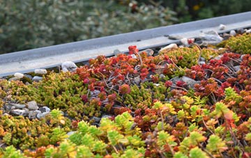 the cost of Dunamuck green roof installation